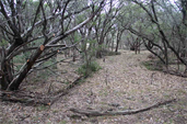 Farm And Ranch Landscaping